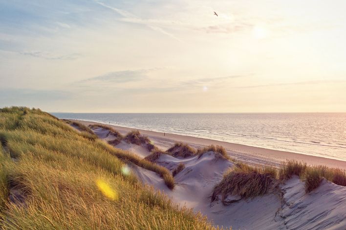 Strand in Zeeland