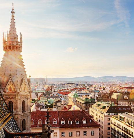 Blick auf die Dächer von Wien