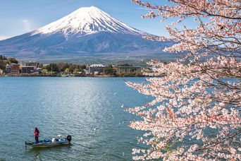 Mount Fuji mit Kirschblüten und Boot