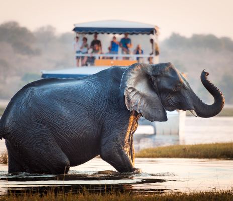 Südafrika, Botswana & Simbabwe