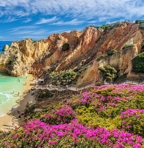 Blumen und Bucht an der Algarve