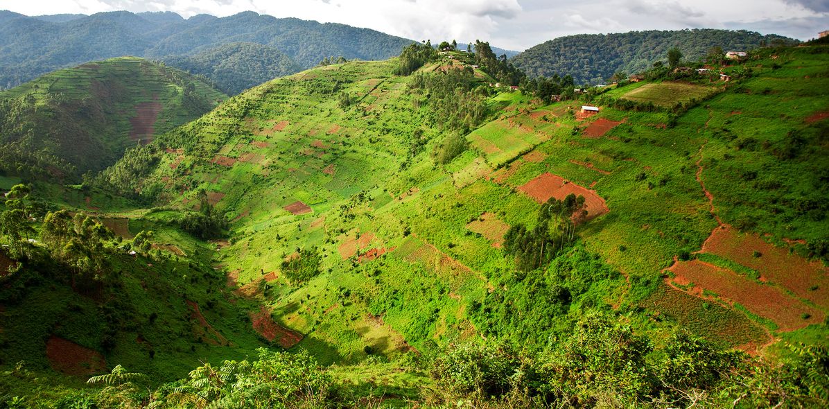 Landschaft in Uganda