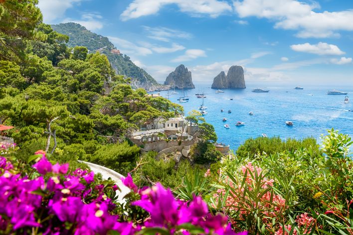 Blick über Blumen auf eine Küstenlinie mit Felsen und Meer auf Capri, Italien