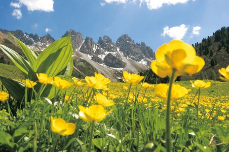 Landschaft in den Bergen