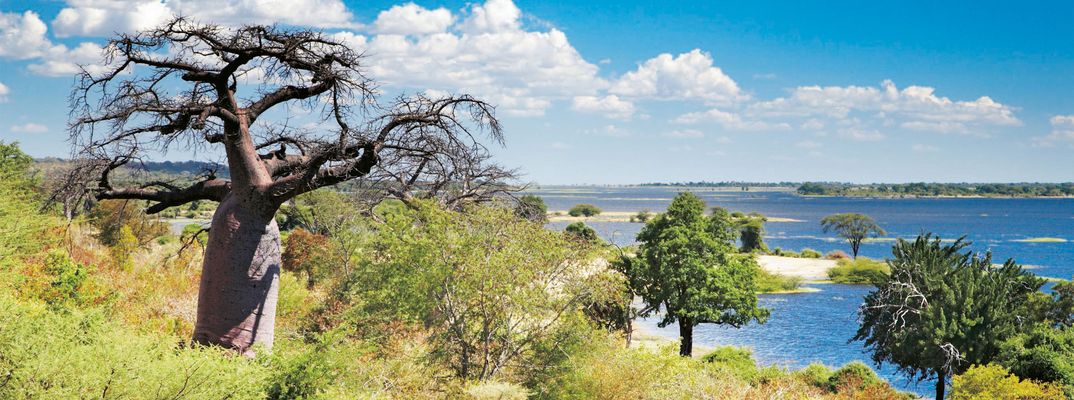 Flusslandschaft im Chobe-Nationalpark in Botswana