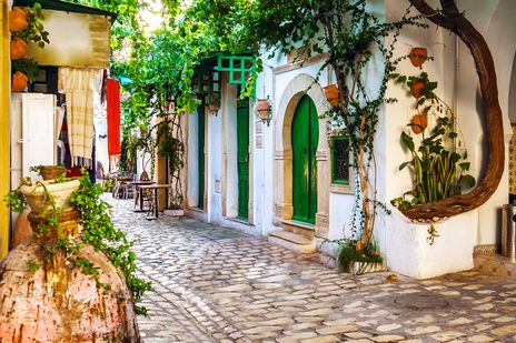 Blick in eine grüne Gasse mit hübschen orientalischen Türen in Mahdia, Tunesien