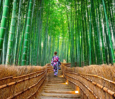 Frau im Bambuswald in Kyoto