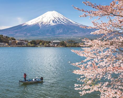 Zen-Gärten, Shinkansen und Fuji-Zauber-0