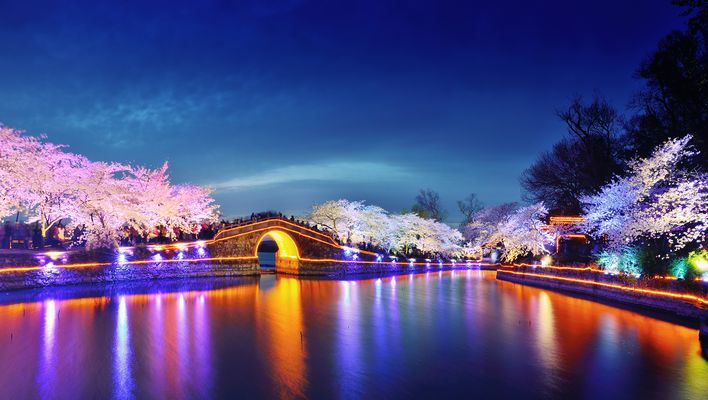 Kirschblüte in Wuxi in China