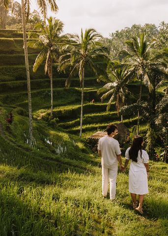 Paar spaziert durch ein Reisfeld auf der Insel Bali