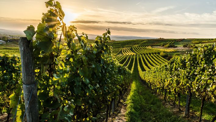Rhein & Mosel