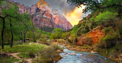 Ein Fluss schlängelt sich durch die Natur im Zion Nationalpark in Utah in den USA