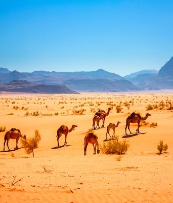 Jordanien