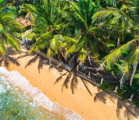 Unawatuna Strand mit Palmen