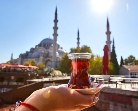 Die Metropole am Bosporus erleben und genießen-0