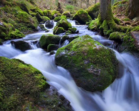 Urlaubsspaß im 4-Sterne-Hotel Hofgut Sternen in Breitnau