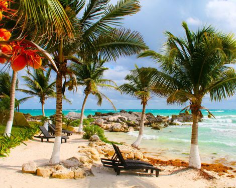 Kreuzfahrt mit AIDAstella von Palma de Mallorca über Afrika bis Mauritius inkl. 3 Nächte Mauritius-0