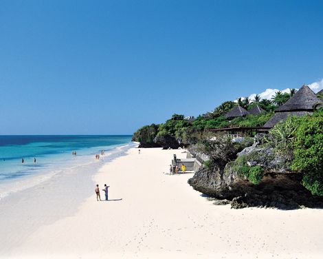 Von der Savanne zum Ozean-0