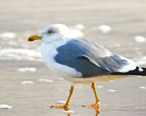 Auszeit im 4-Sterne-Hotel Jann von Norderney