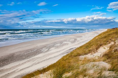 Strand und Dünen in Litauen