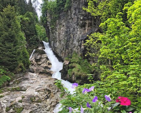 Radreise über den Alpe-Adria-Trail von Salzburg bis Grado-2