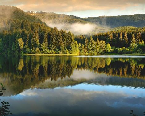 Erholungsurlaub im Hotel Walpurgishof-3