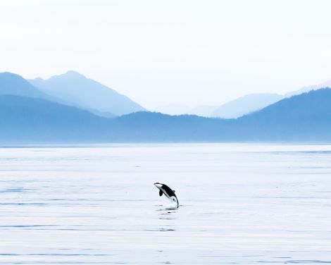 Kreuzfahrt mit der Celebrity Solstice von Seward bis Vancouver inkl. Alaska- & Kanada-Rundreise