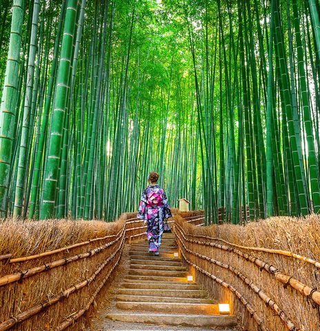 Frau in traditioneller asiatischer Kleidung geht durch dichten Bambuswald über einen Holzsteg