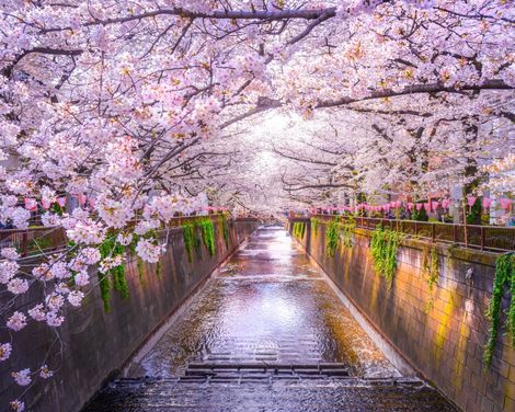 Individuelle Rundreise ab Tokio bis Osaka: Faszination Japan