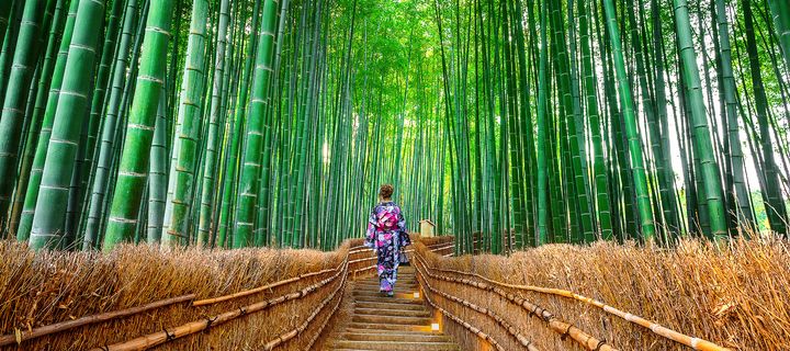 Frau im Bambuswald in Kyoto