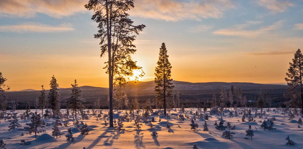 Winterlandschaft in Finnland