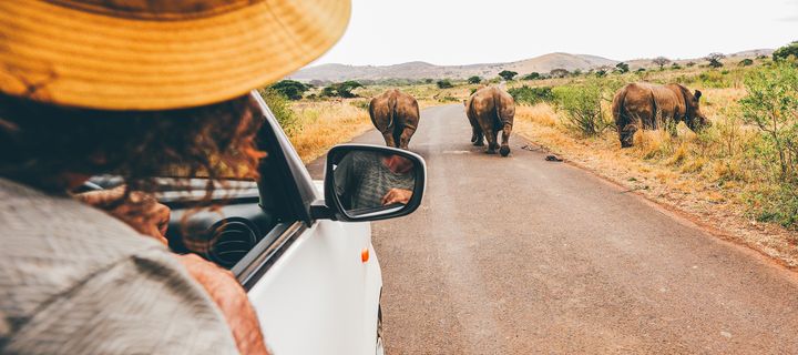 Frau blickt auf Nashörner bei Safari in Südafrika