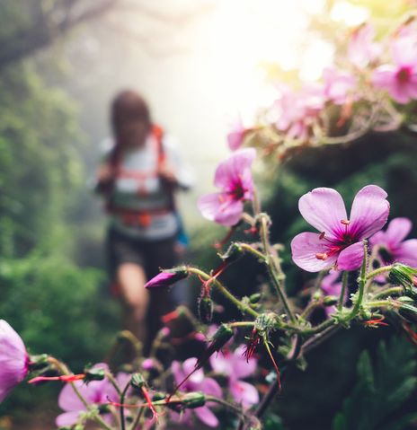 Wandern auf der Insel Madeira