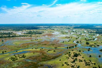 Belebte Straße in Tokio