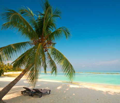 Strand mit Palmen und Liegen Malediven