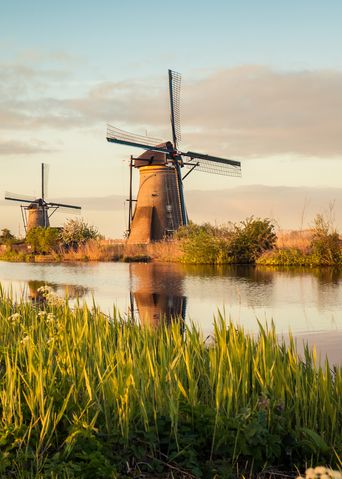 Windmühlen-Landschaft in Kinderdijk in den Niederlanden