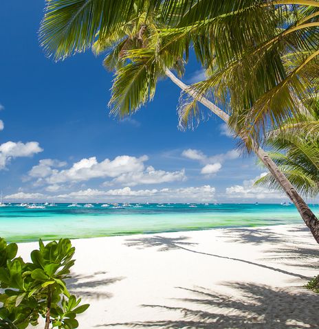 Strand bei Cancún mit weißem Sand, Palmen und türkisfarbenem Meer