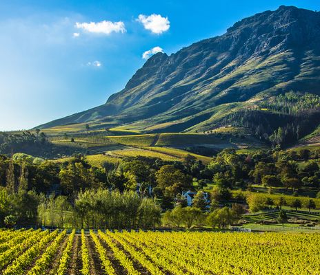 Winelands in Südafrika