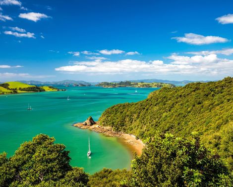 Kreuzfahrt mit der Royal Princess inkl. Australien-Rundreise mit Tasmanien-0