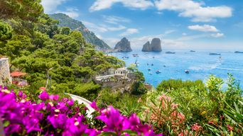 Blick über Blumen auf eine Küstenlinie mit Felsen und Meer auf Capri, Italien