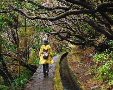 Wanderreise von Porto da Cruz bis Calheta