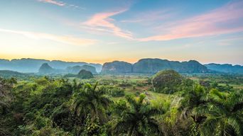 Grüne Landschaft im Vinales Tal mit Hügeln und Feldern
