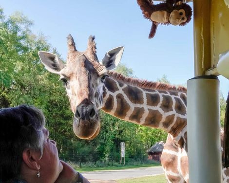 Abenteuer im Serengeti-Park Hodenhagen