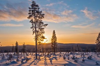 Winterlandschaft von Lappland