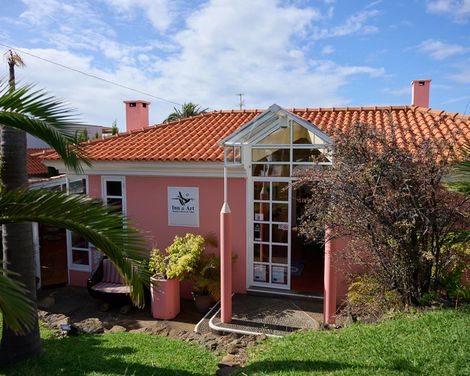Inn & Art Madeira-0