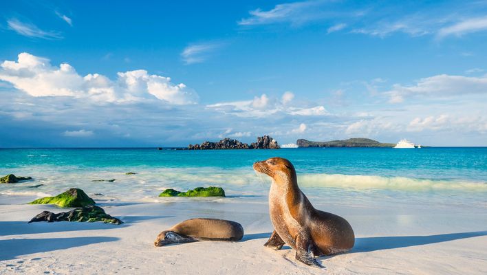 Ecuador & Galápagos-Inseln