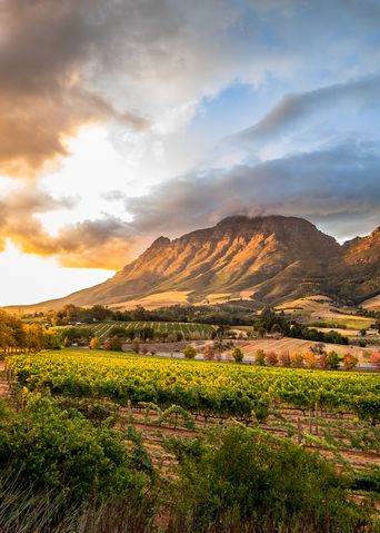 Stellenbosch in Südafrika