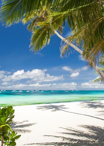 Strand mit Palmen in Cancún