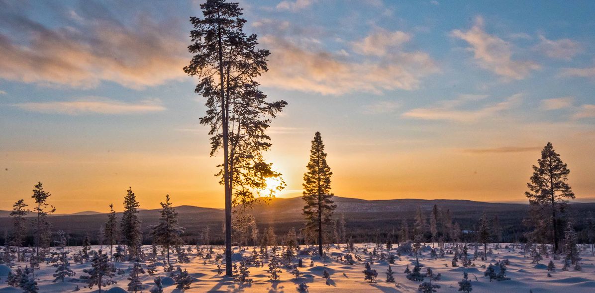 Winterlandschaft von Lappland