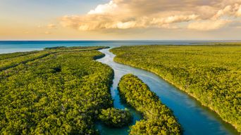 Everglades Nationalpark in Florida
